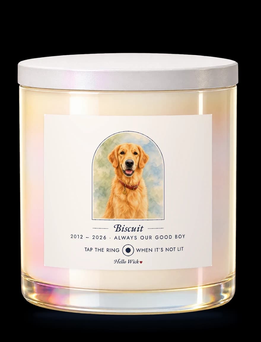 A Hello Wick memorial candle labeled Biscuit, 2012 to 2026, always our good boy, with a watercolor of the dog in an arch