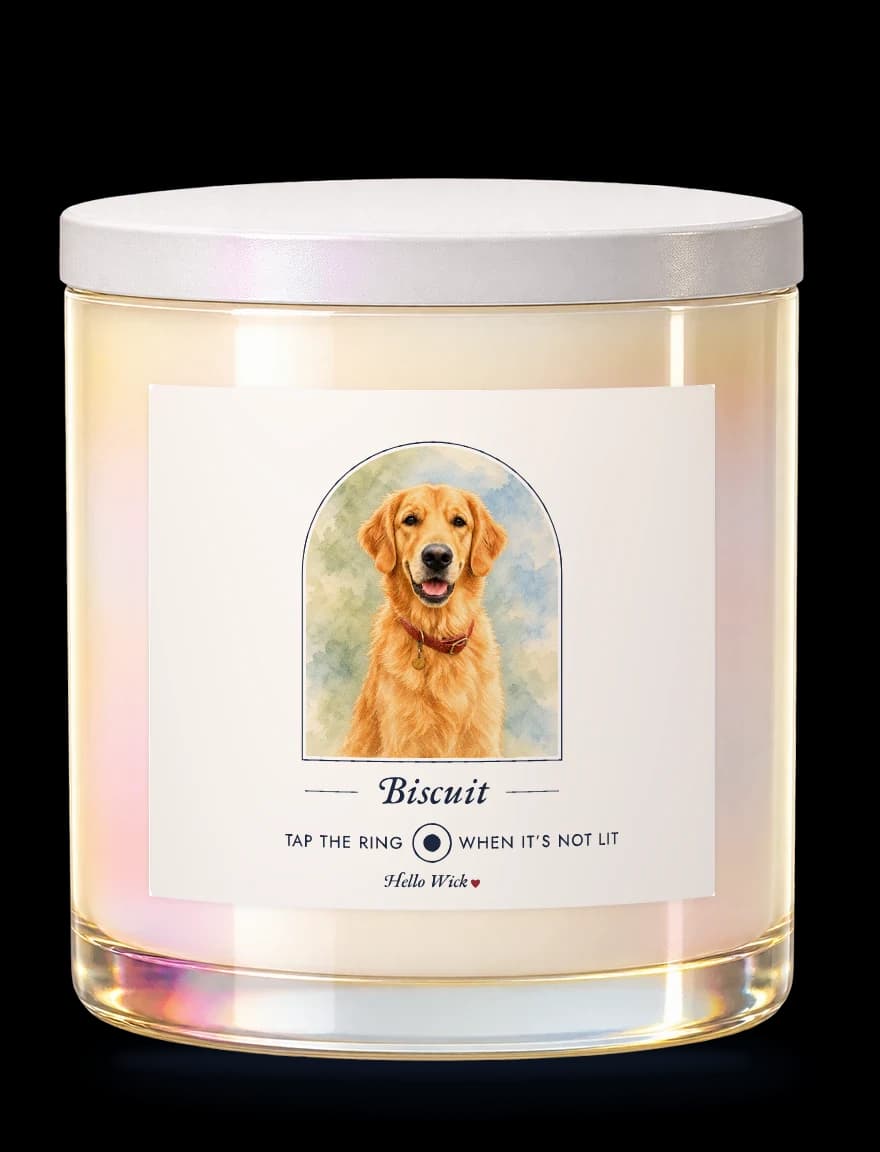 A Hello Wick candle labelled Biscuit, with a watercolour of the dog