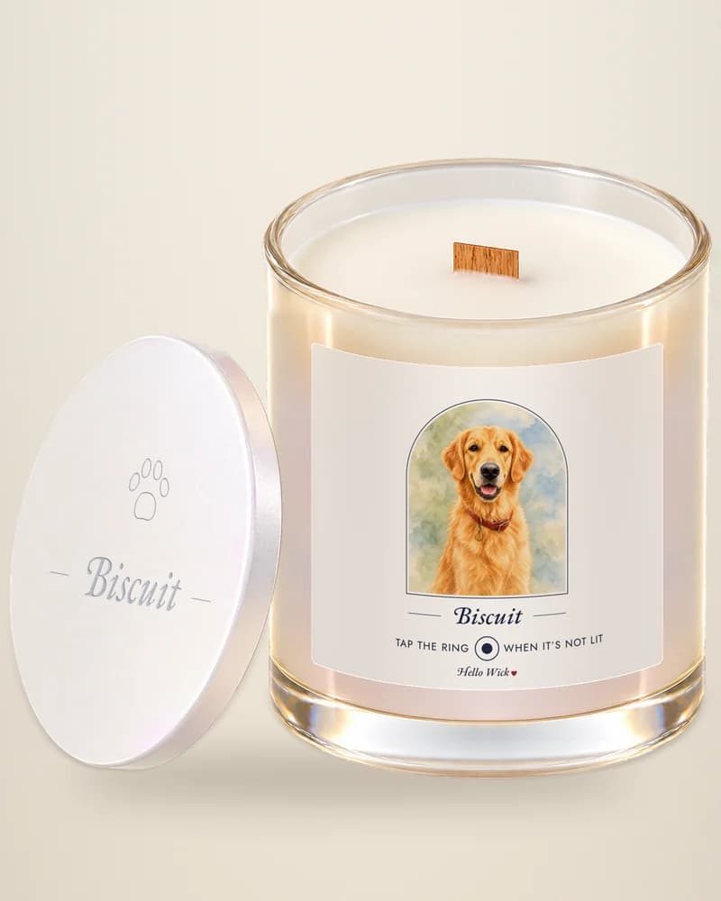 A Hello Wick candle labeled Biscuit, with a watercolor of the dog, its lid beside it